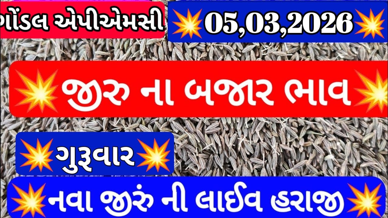 નવા જીરા ના બજાર ભાવ / જીરા ના બજાર ભાવ /ગોંડલ જીરાના બજાર ભાવ / 05,03,2026