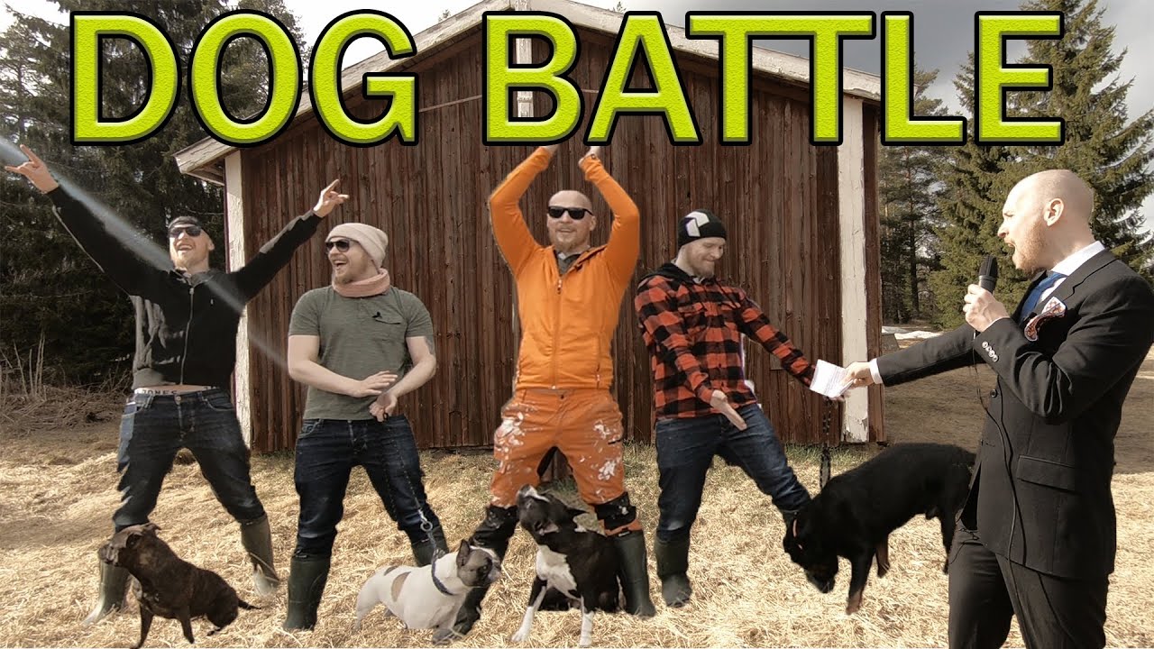 **FASTEST DOG IN THE WORLD** Staffy VS Amstaff VS Rottweiler - Staffordshire Bullterrier