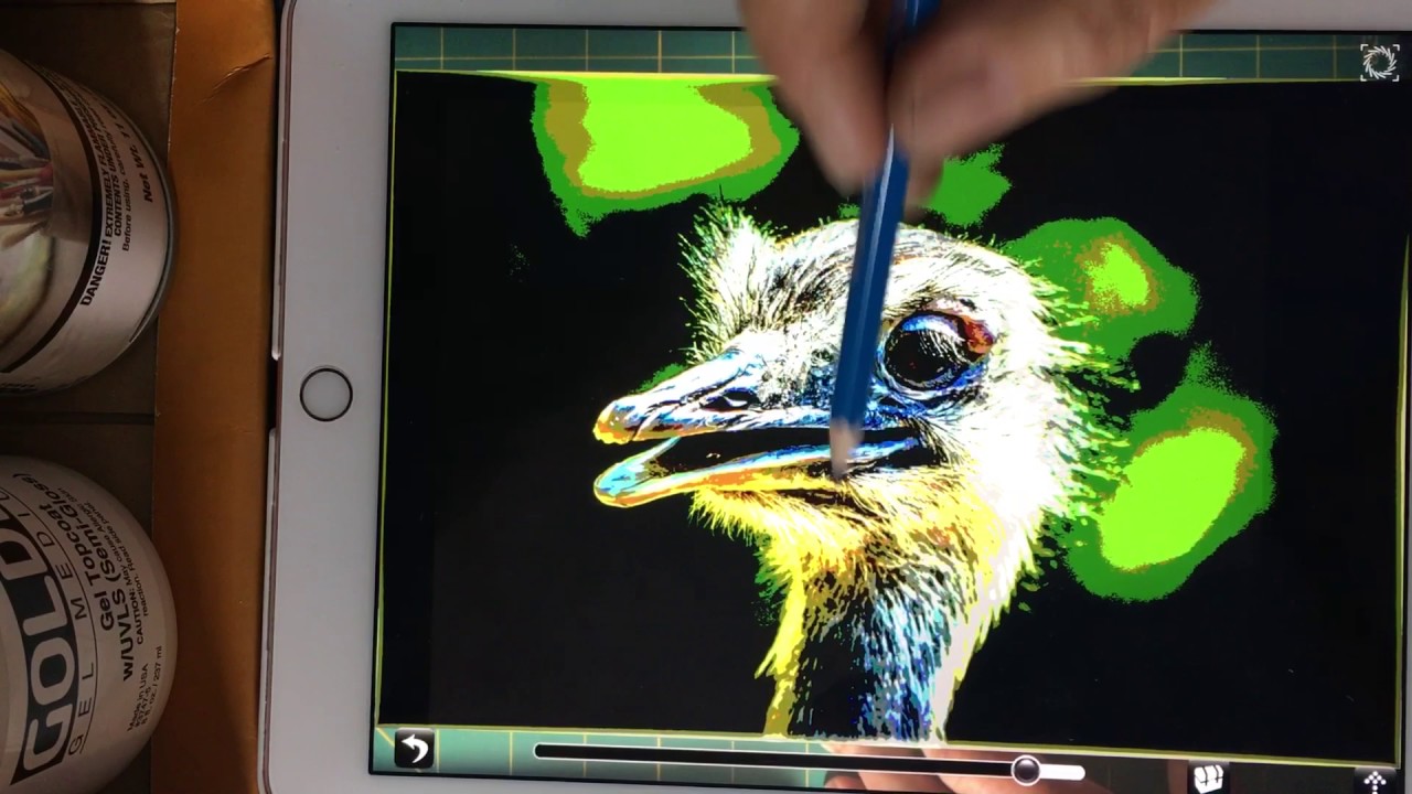 Camera Lucida tracing app