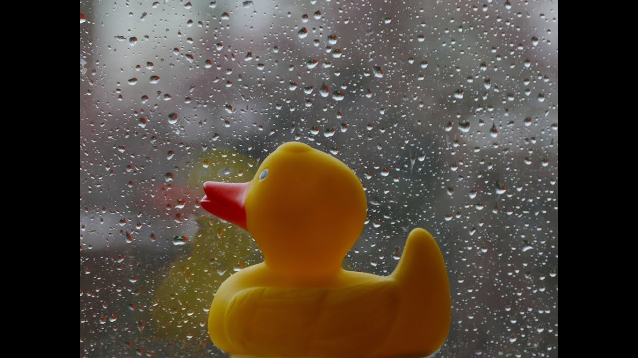 Ezikai - Duck Weather