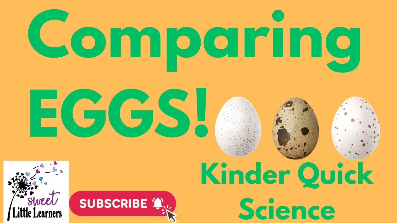 Eggs Aren’t All the Same! Quick Science + Art for Kindergarten (Teacher Hack)