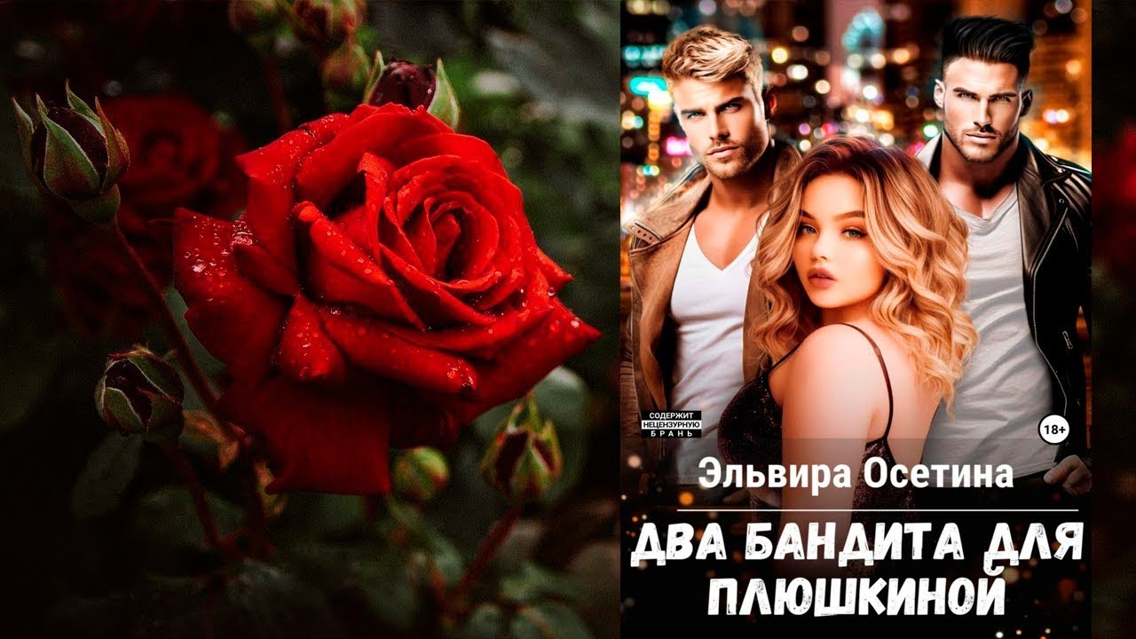Два бандита для Плюшкиной (Эльвира Осетина) Аудиокнига