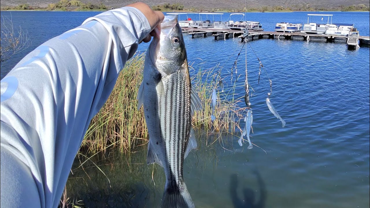 Riverside-Lake Skinner 探钓