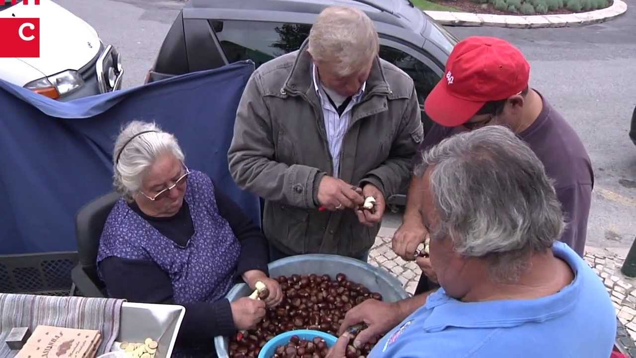 São Martinho vivido em Cascais