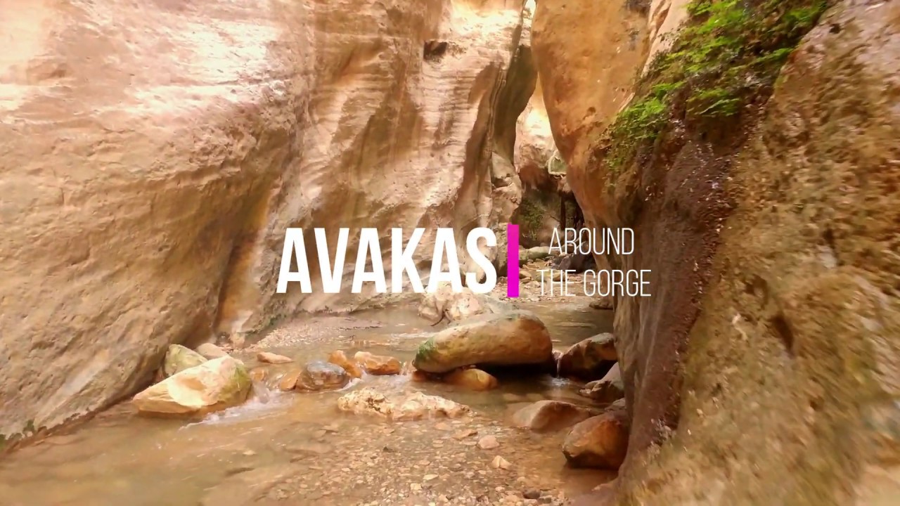 Around Avakas Gorge Akamas Paphos Cyprus