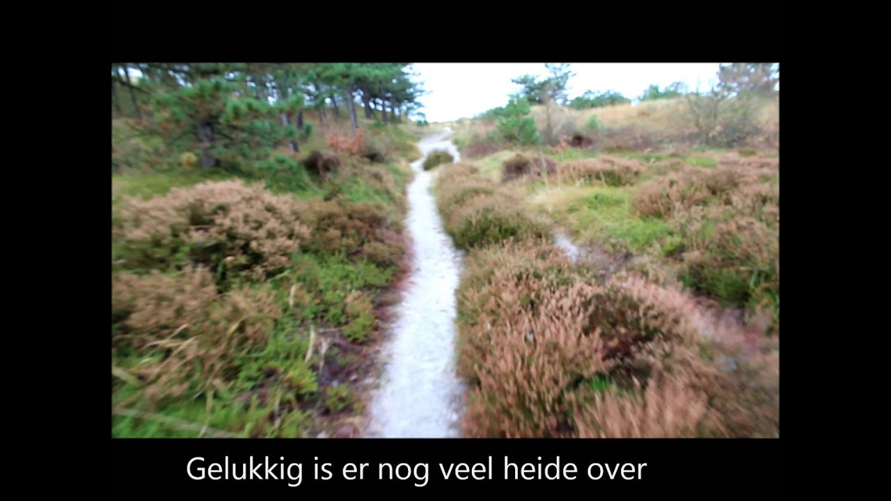 Groene Wissel-wandeling door de Schoorlse Duinen vanuit Bergen