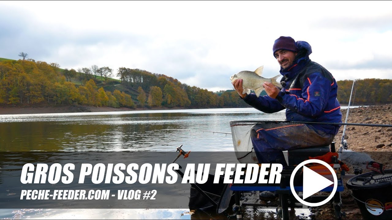 Strat&eacute;gie de p&ecirc;che des gros poissons au feeder