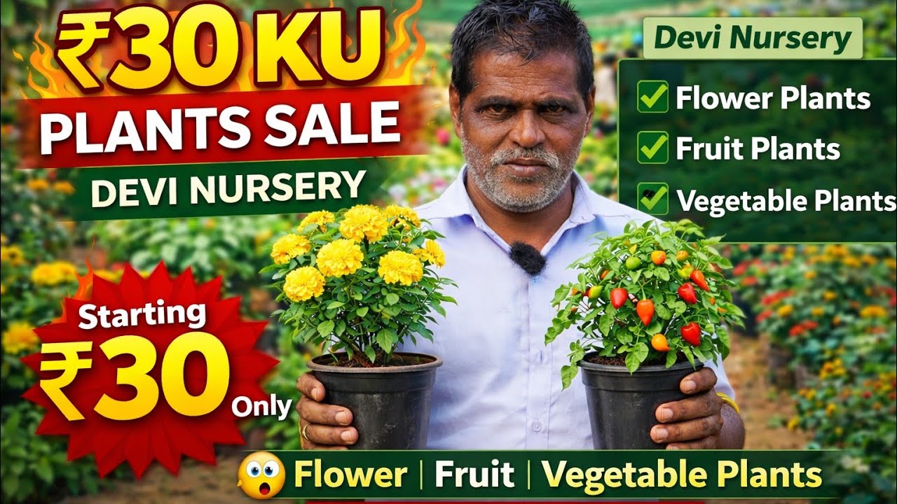 🤯 குறைந்த விலையில் செடிகள் வேண்டுமா? 🌿 Devi Nursery  Pallavaram Friday Market | Garden Tour & Prices