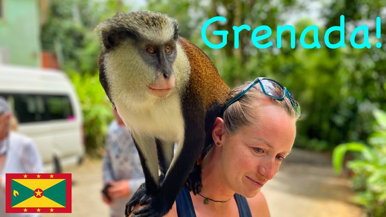 S1E35 (35) Grenada Arrival: Seven Sisters Falls and Rivers Rum Distillery!