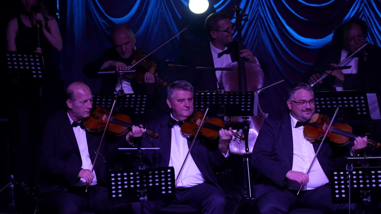 Milena Lazarevic Popovic - Sremacko je selo malo - Solisticki koncert - Mts dvorana