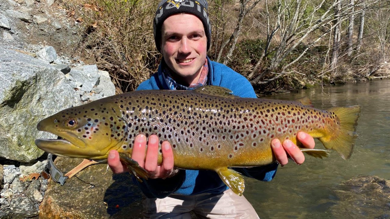 WBD -  Epic Brown East Fork French Broad River  Fly Fishing & Trout Fishing