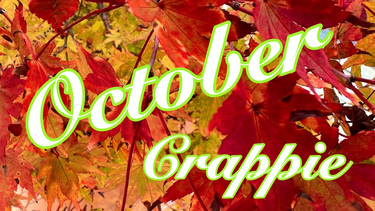 The Secret to Catching Finicky Crappie "Fall Transition Crappie Fishing”