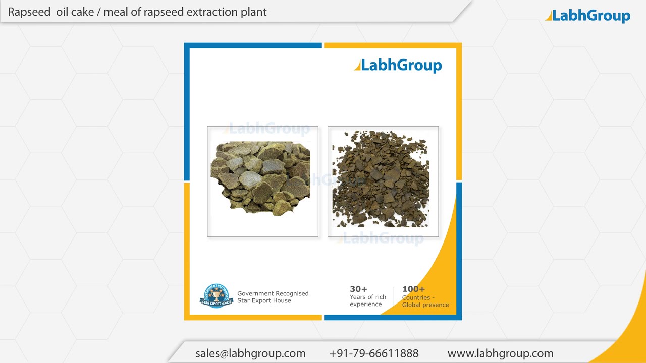 Rapeseed de-oiled cake | Best quality rapeseed extraction plant de-oiled cake | Labh Group