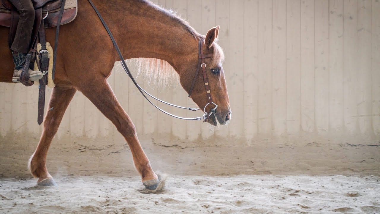 Tivio County - Imagefilm / Westernreiten Tirol