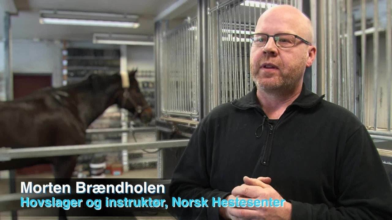 Hovslager