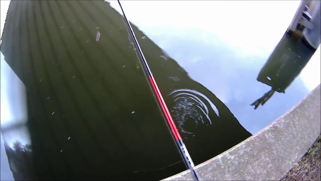 Uurtje baarzen tikken. (Perch fishing)