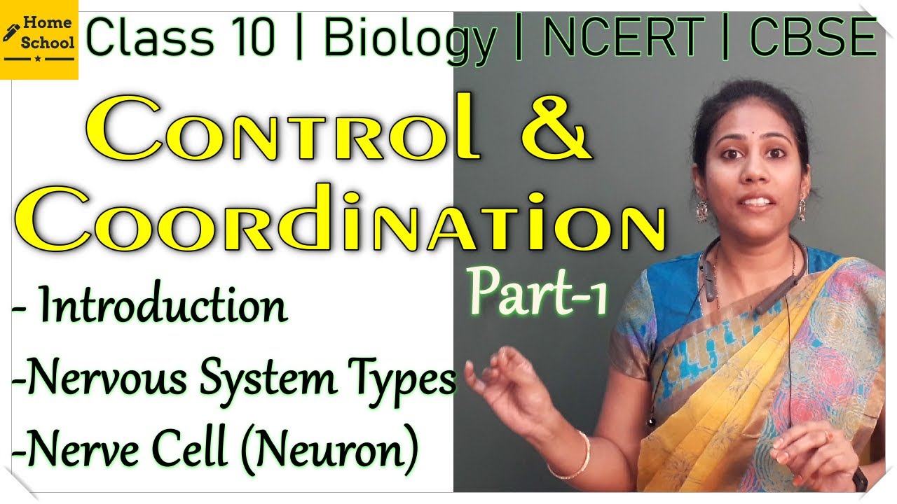 Control and Coordination | Part 1 | Class 10 Biology