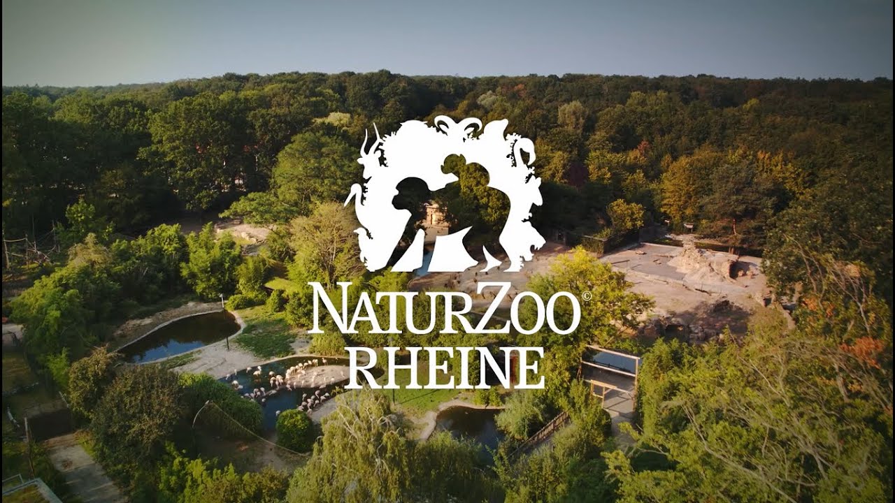 NaturZoo Rheine - Zum Begreifen nah.