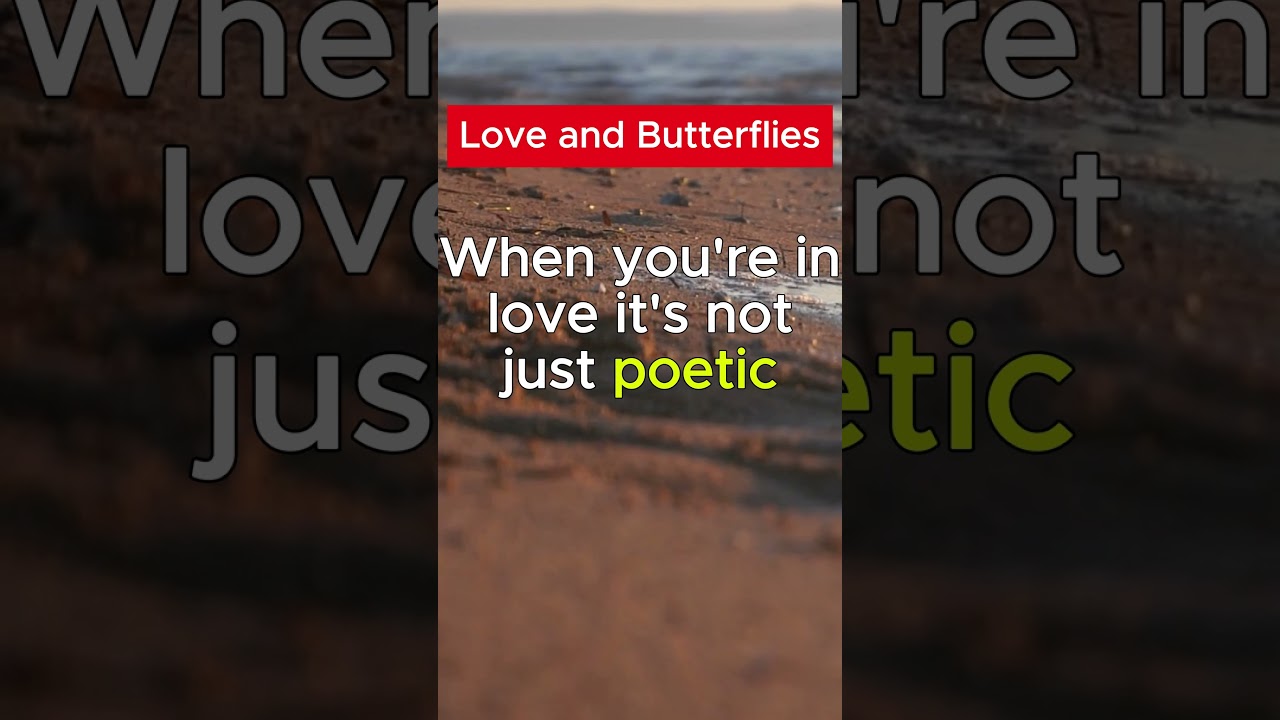 Love and Butterflies #love #lovestatus #psychologyfacts #crushfacts #psychology  #quotes #relation
