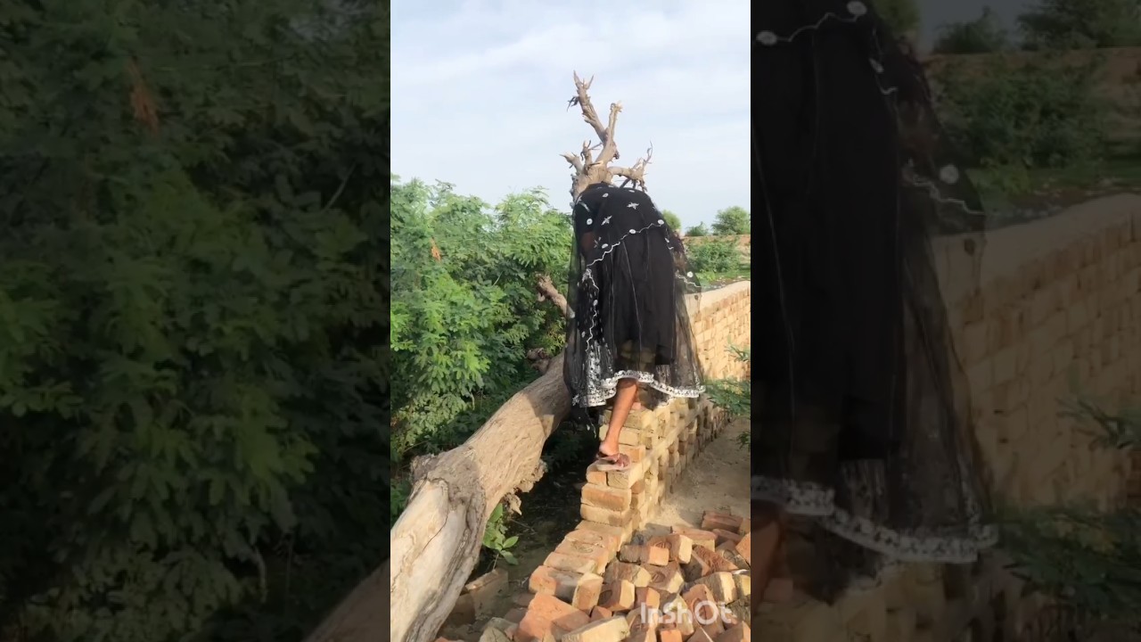 Girl Climbs a Tree 