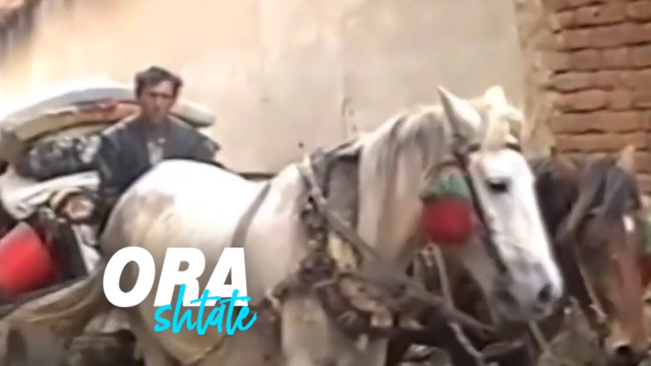 Ora 7 - Përmes artit kujtohet familja Ahmeti në Likoshan