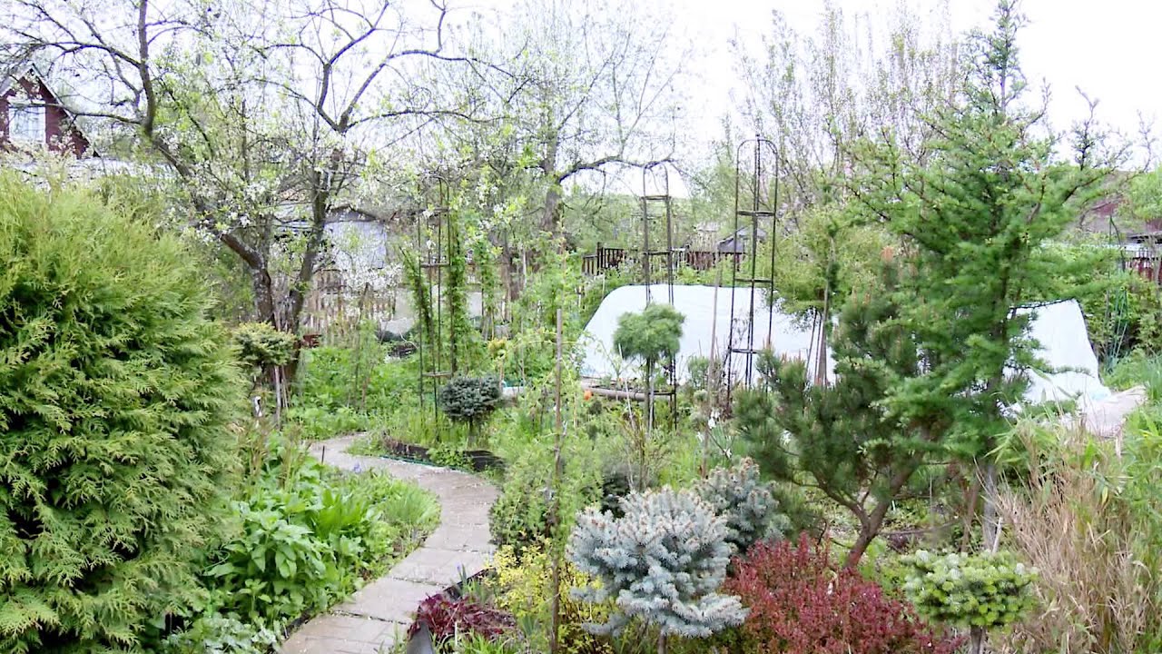 Редкие растения. Ландшафтные хитрости. Выпуск 130