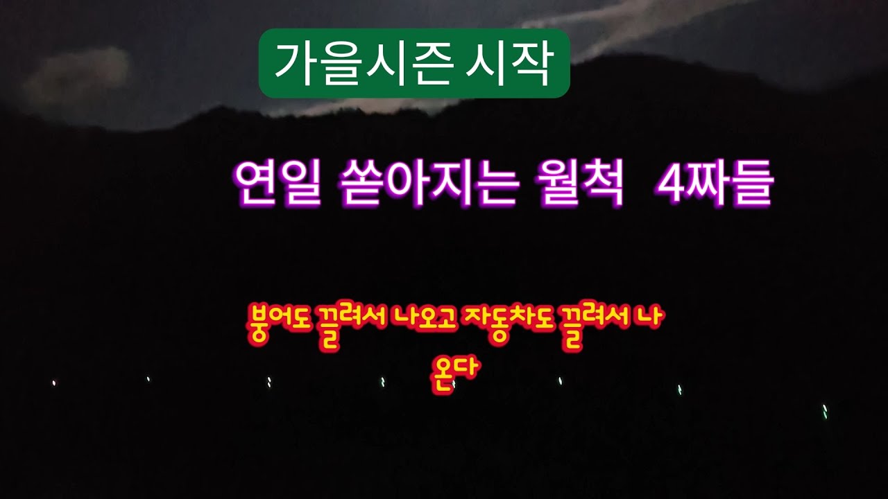 쏟아지는 월척 대물 사짜들 합천댐 낚시#25-25@3화