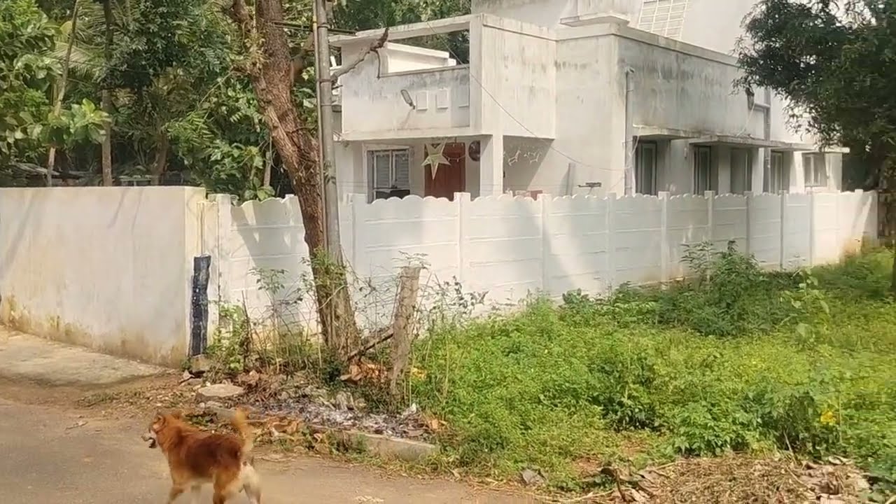 PER SQ.FT 900 AREA 2915 RESIDENTIAL PLOT SALE THANJAVUR DISTRICT IN PATTUKOTTAI IN ANAKADU