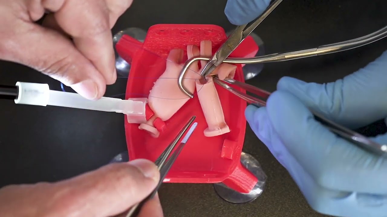 Vascular anastomosis and Aortic Coarctation Simulator