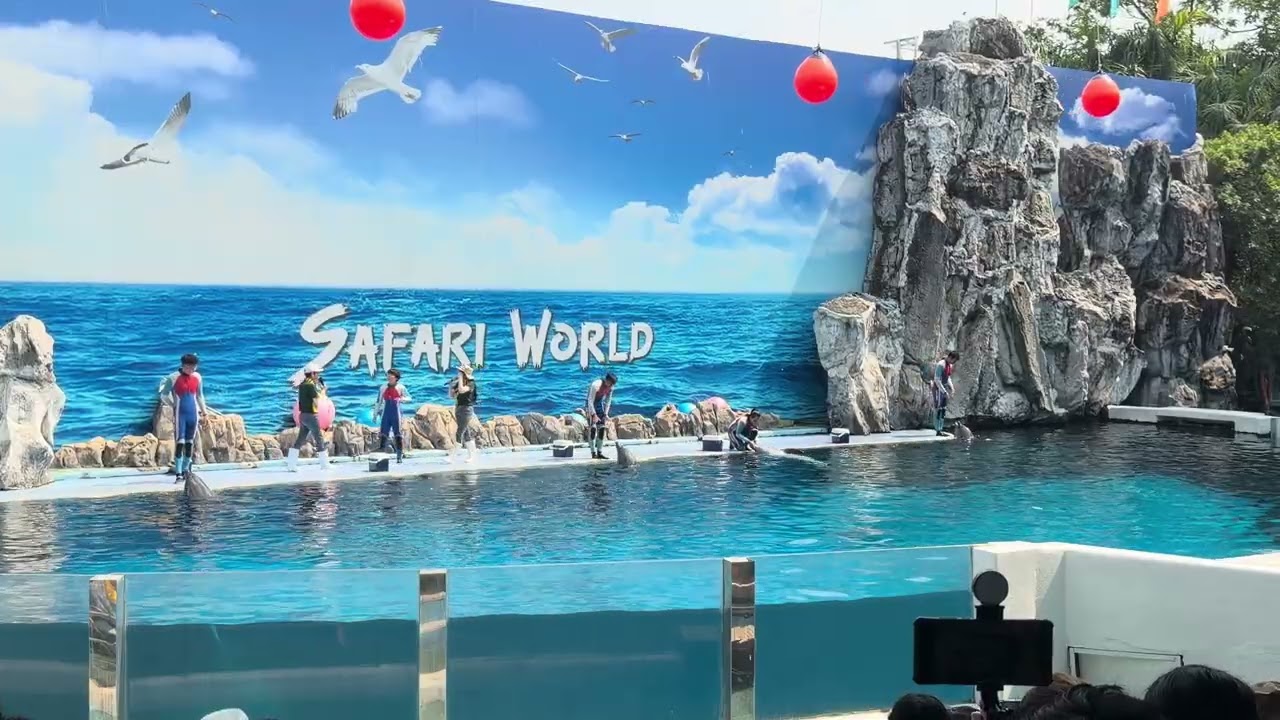 Dolphin Show | Safari World, Bangkok, Thailand