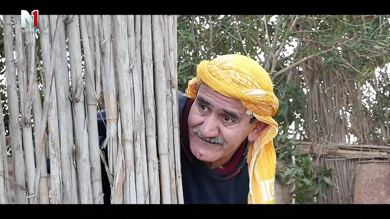 السلسلة الفكاهية 