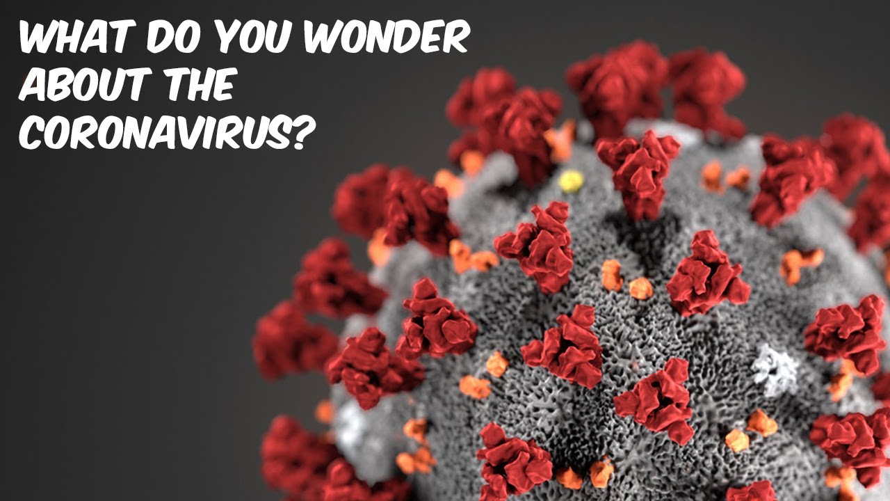 Explorer Zone Episode 07 - What do you wonder about the Coronavirus?