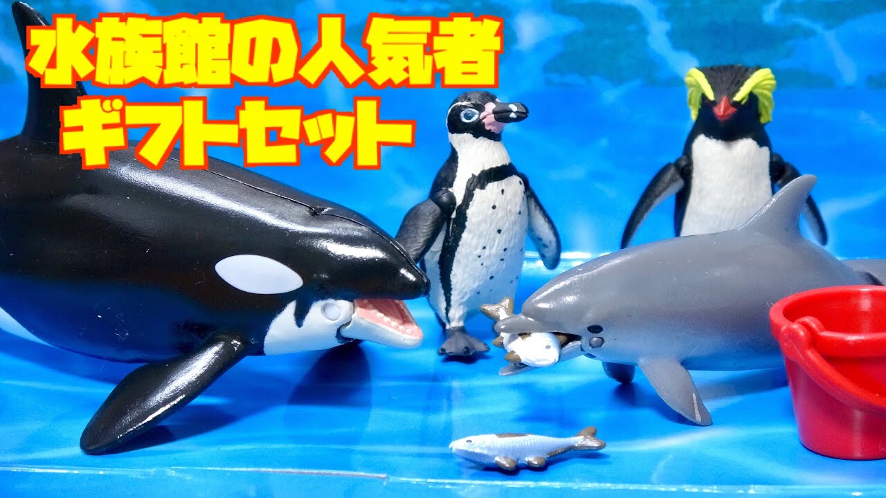アニア 水族館の人気者ギフトセット【シャチ, ハンドウイルカ, ペンギン】 をレビュー