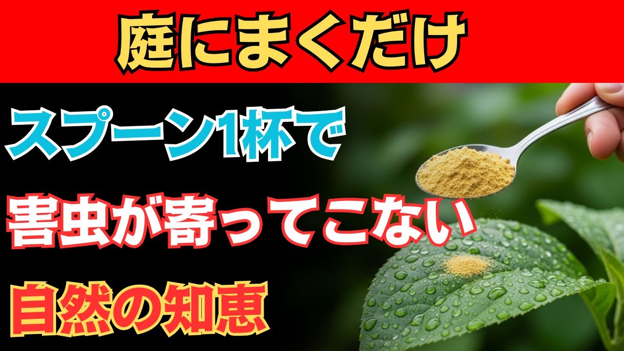 農薬はもう不要！たったスプーン1杯で10秒害虫退治―子どもやペットも安心