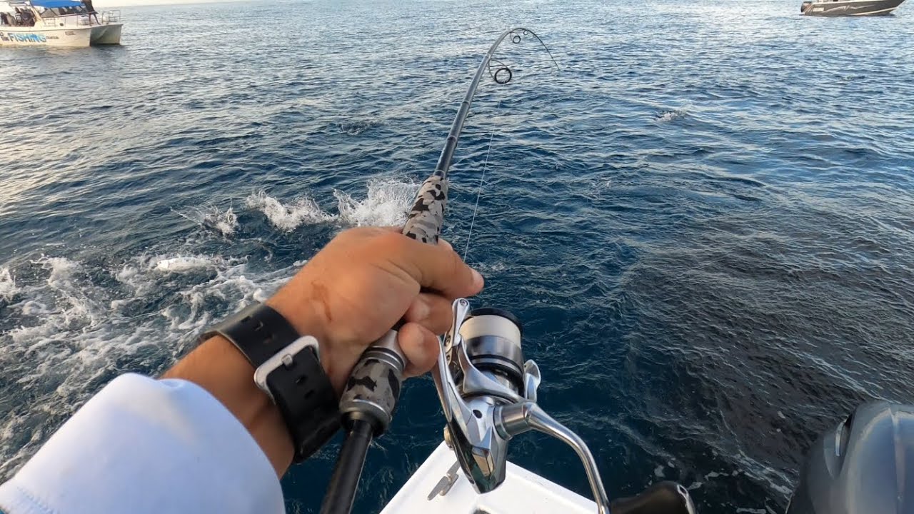Light tackle tuna fishing | BUST UPS EVERYWHERE