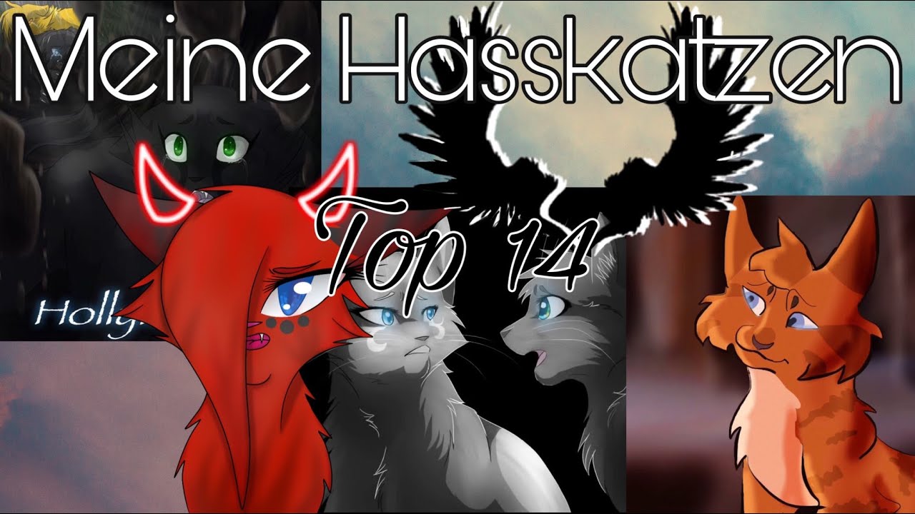 Warrior Cats • Meine Hasskatzen | Top 14 | Flammenstern