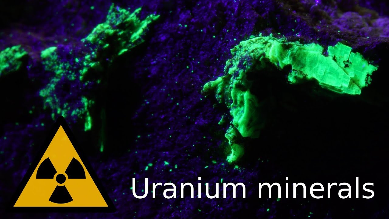 My collection of radioactive uranium minerals (autunite, uraninite)