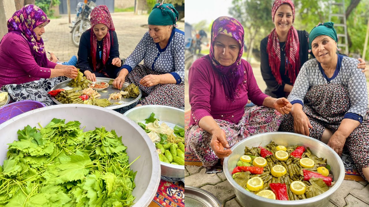 HALAM KÖY EVİ TEPSİ TEPSİ EN LEZZETLİ BÜYÜK KAZANDA YAPRAK SARMASI ~ LEZZET KÖYÜ İLK YAPRAK HASADI