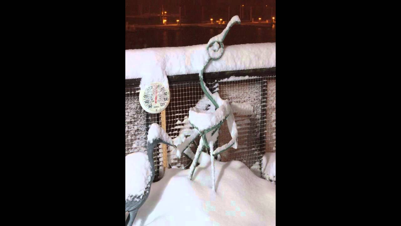 Winter storm Nemo 12 hour time lapse
