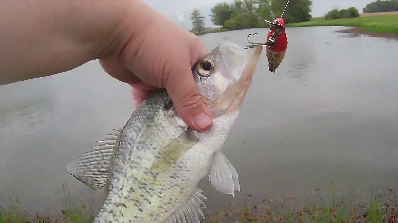 Catching Bass & Large Crappie On A Vintage Heddon Midget River Runt
