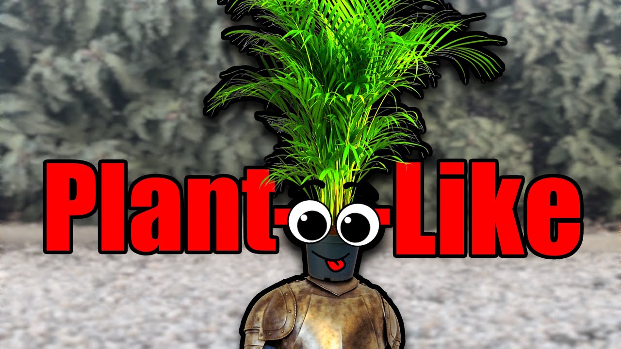 When the best co-op souls-like is a plant