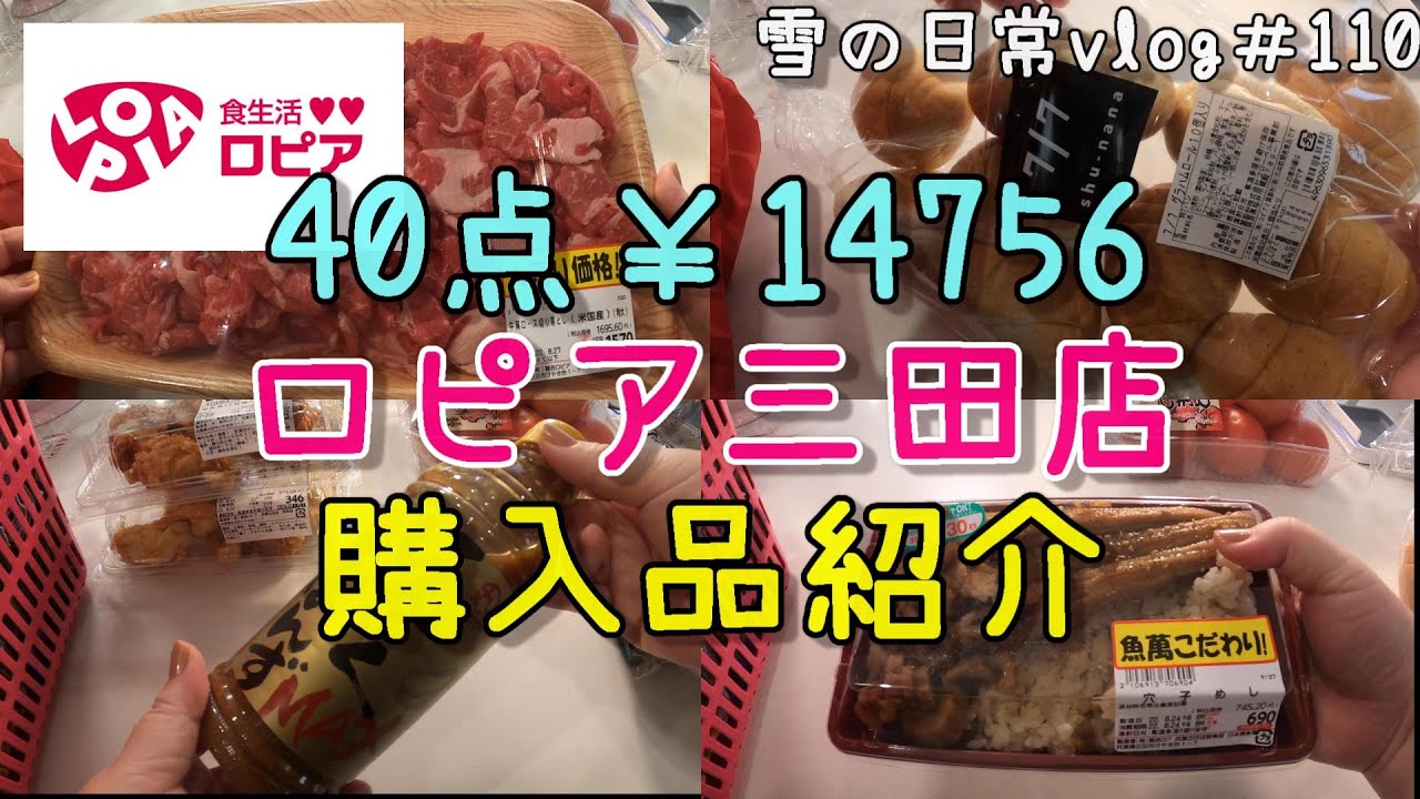 【兵庫県三田市】ロピア三田店購入品紹介！　30代主婦（年の差夫婦）の散策　雪の日常vlog＃110