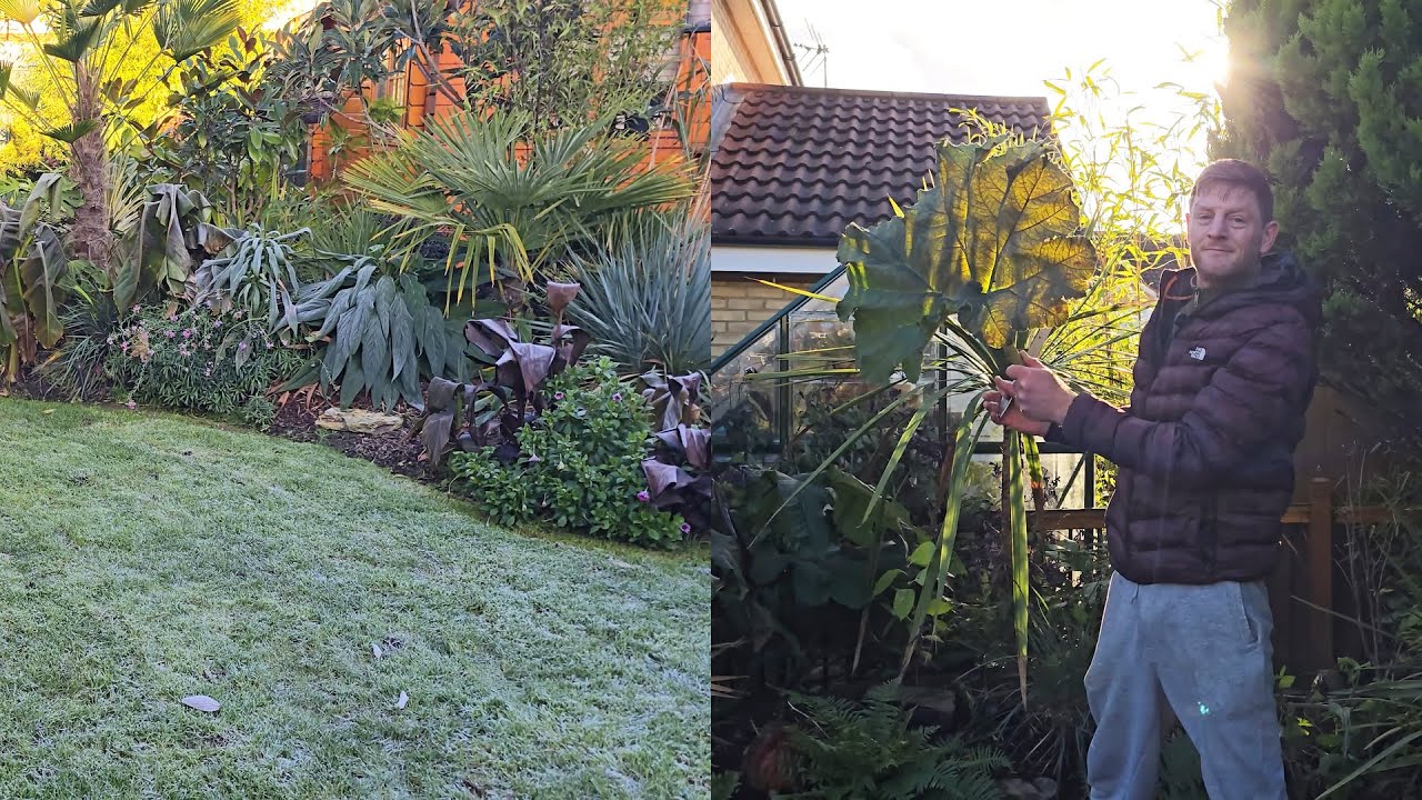 Ноябрьский тур Tropical Garden UK 2025 — Зимнее безумие