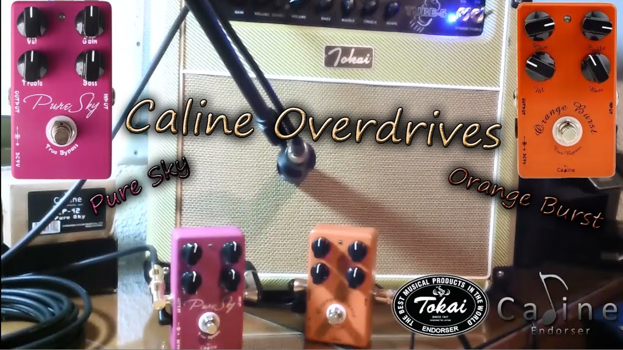 Caline Overdrives | Orange Burst vs Pure Sky