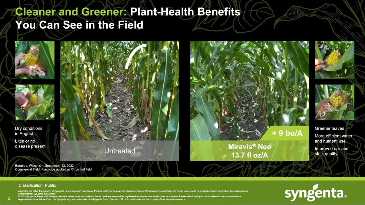 Cleaner & Greener: Consistently Boosting Bushels