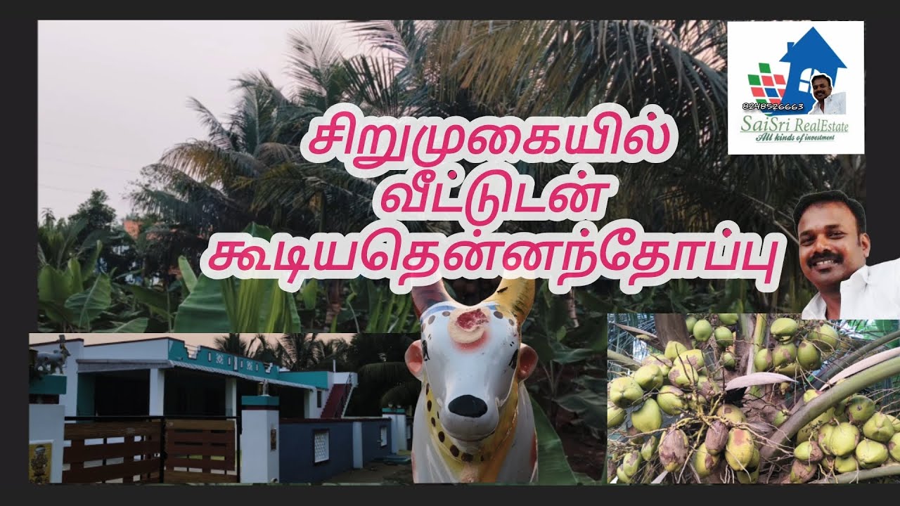 சிறுமுகையில் வீட்டுடன் கூடிய தென்னை மற்றும் பாக்கு தோப்பு விற்பனைக்கு...