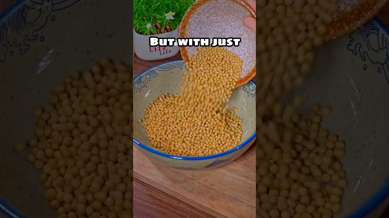 How to Grow Real Bean Sprouts at Home 🌱  #farming #food #agriculture #gardening #organicfood