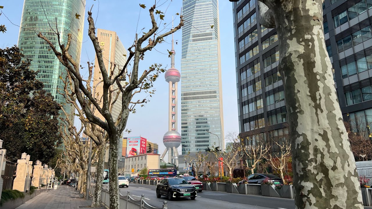 #shanghai #trending #travelvlo #aesthetic #shortvideo#atmosphere#citylife #chinatravel#cityaesthetic
