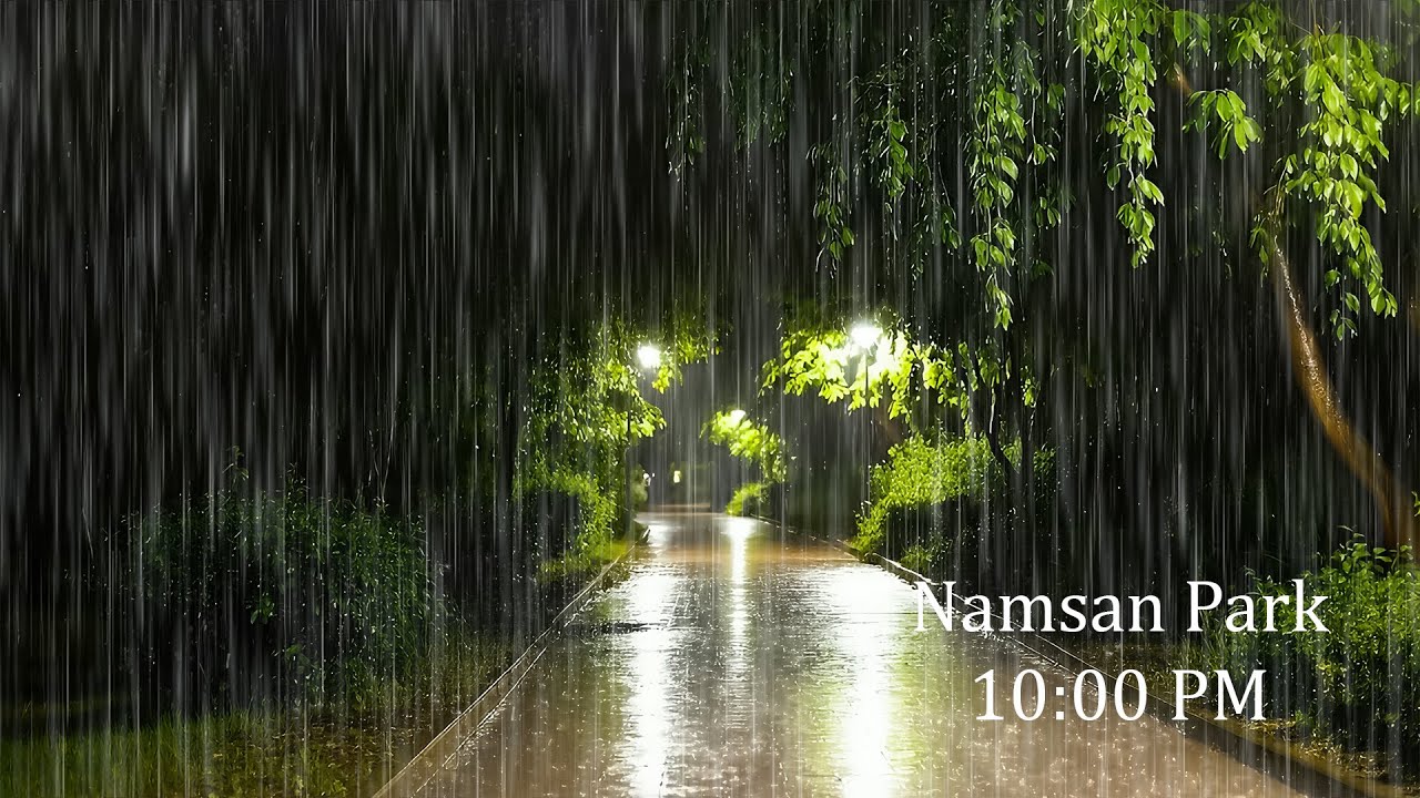 Fall into Deep, Restful Sleep with Night Rainfall | ASMR Gentle Rain on Street for Study & Relax