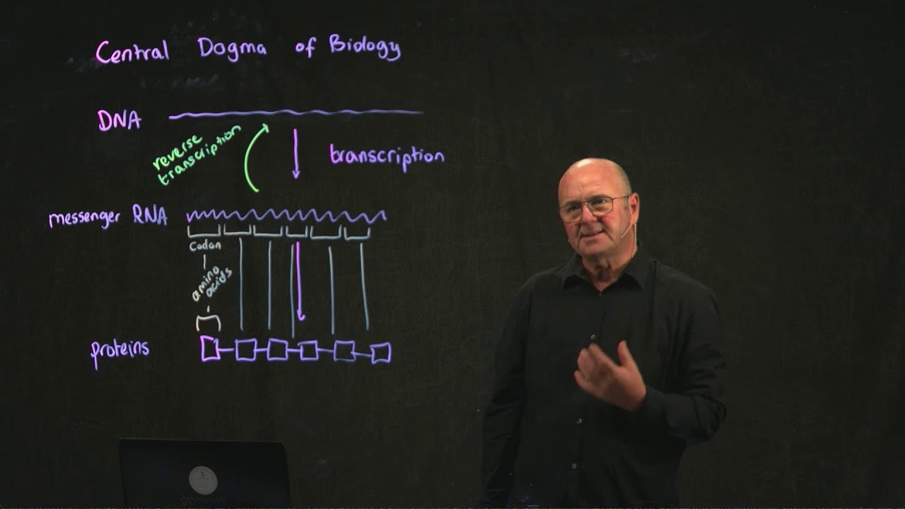 Central Dogma